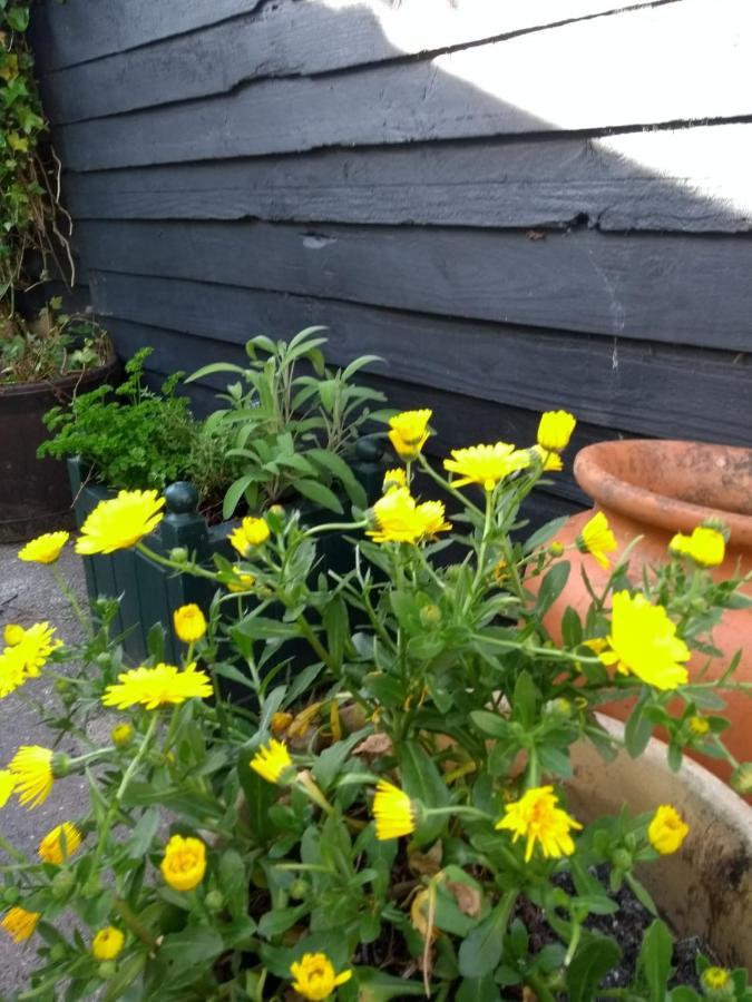 Cosy, Dog Friendly House On The Fringe Of The Brecon Beacons Βίλα Tredegar Εξωτερικό φωτογραφία