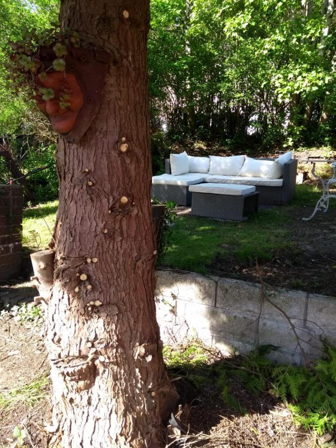 Cosy, Dog Friendly House On The Fringe Of The Brecon Beacons Βίλα Tredegar Εξωτερικό φωτογραφία